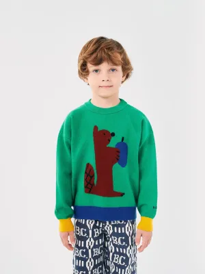 Hungry Squirrel jacquard jumper