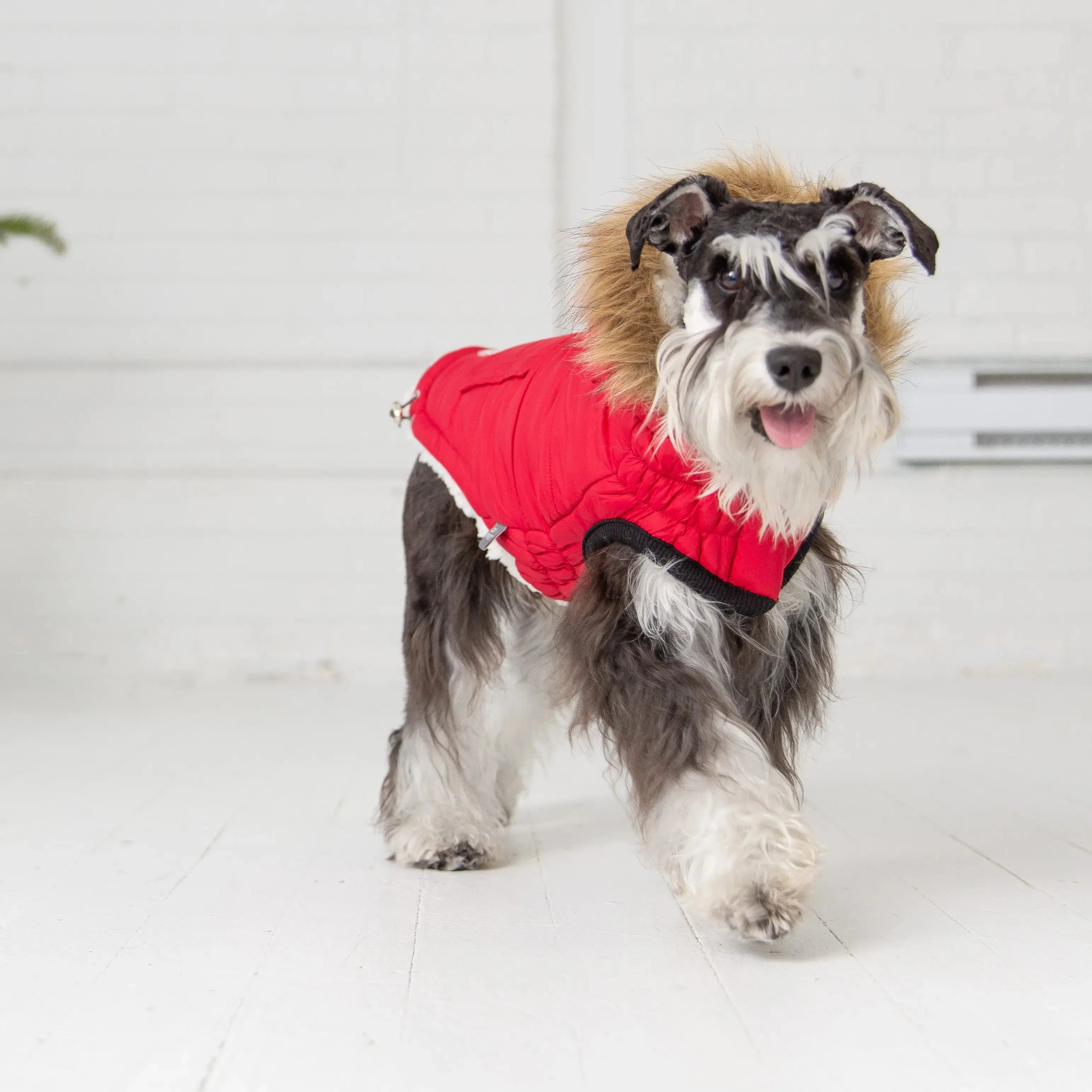 Urban Dog Parka | Red